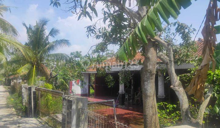 DiJual Murah, rumah kampung, bisa buat usaha, Batujaya Karawang  1