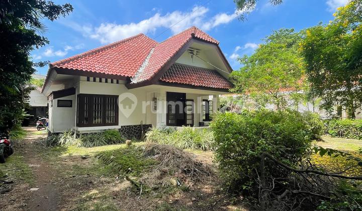 Rumah Lama dengan Konsep Kolonial Belanda Lingkungan yang Nyaman di Menteng Jakarta Pusat Rumah Lama dengan Konsep Kolonial Belanda Lingkungan yang Nyaman di Menteng Jakarta Pusat