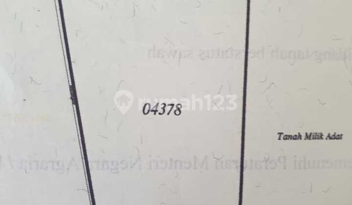Jual Tanah di Desa Mulyo Agung Kab Malang Jatim 3