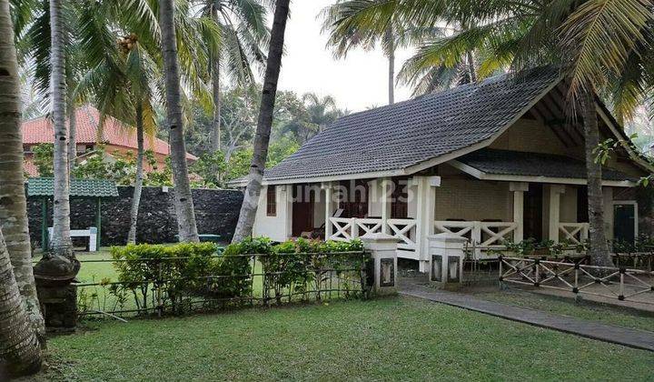 Hotel Cottage Penginapan Pinggir Pantai Dekat Marbela Anyer 10