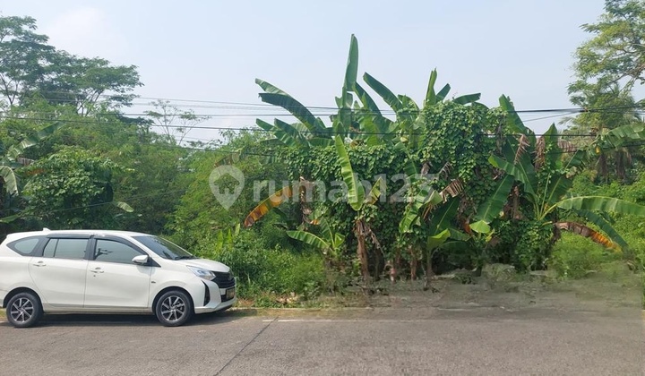 TANAH PINGGIR JALAN RAYA NASIONAL DEKAT PLTU LABUAN BANTEN 1