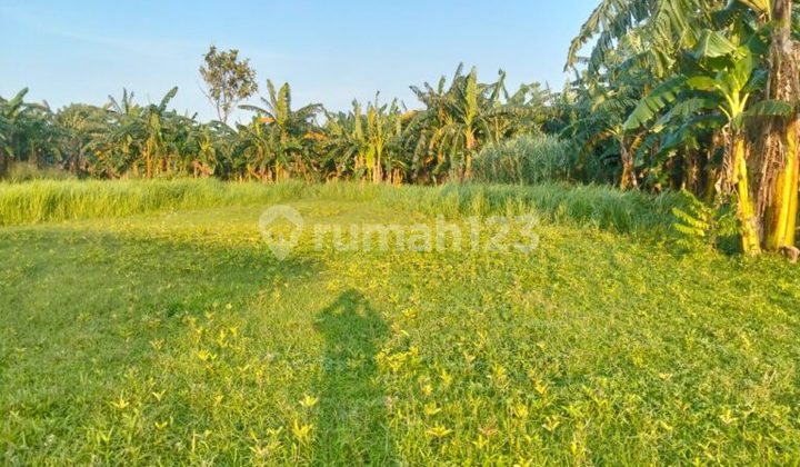 Tanah Idaman Banyak Untung Harga Terjangkau Sudah SHM Dijual di Kebalen Teluk Pucung Bekasi Utara 1