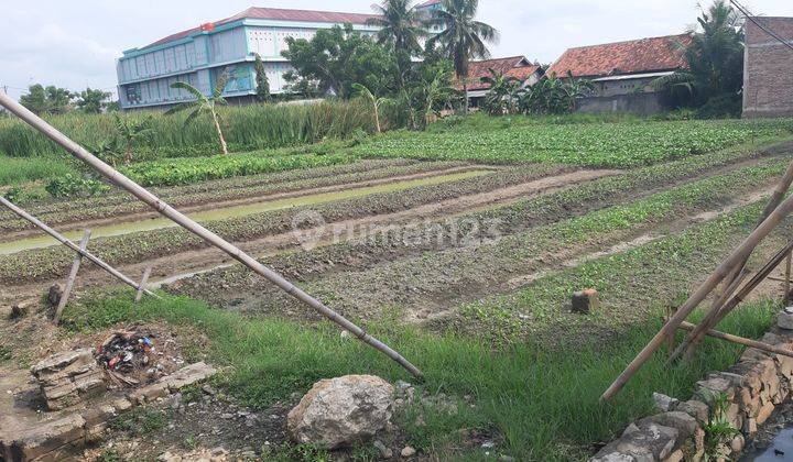 Jual Tanah Cocok Untuk Bangun Mini Cluster Atau Komersil di Pinggir Jalan Raya Pisangan Tambun Utara Bekasi 2