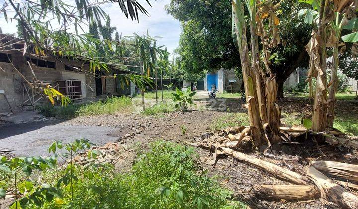 Dijual Cepat Rumah Walet Plus Tanah Luas di Pinggir Jalan Raya Babelan Bekasi 2