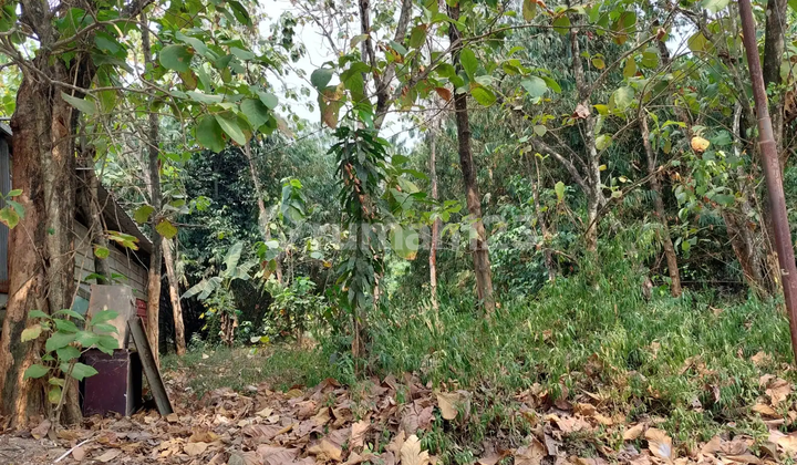 Lahan Siap Bangun dekat Grand Wisata Bekasi Lahan Siap Bangun dekat Grand Wisata Bekasi