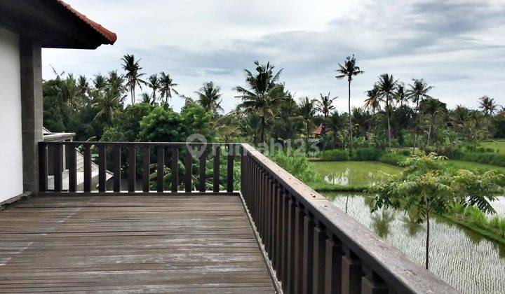 Villa 2 Lantai View Sawah Sekelilingnya Di Gianyar 25