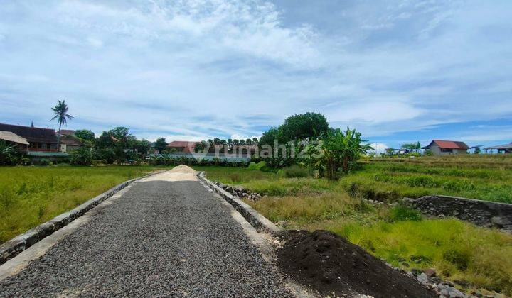 DIJUAL TANAH KAVLING SIAP BANGUN 200 m2 VIEW SAWAH  DI CANGGU 4