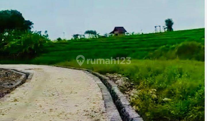 DIJUAL TANAH KAVLING SIAP BANGUN 200 m2 VIEW SAWAH  DI CANGGU 7