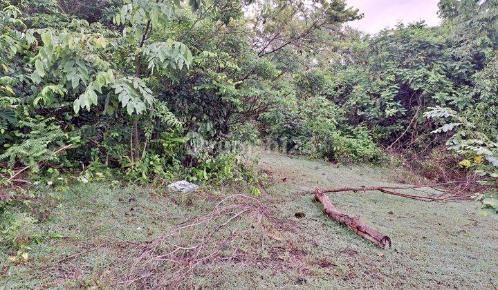 Dijual Tanah Kavling Siap Bangun 520 M2 Di Ungasan Belakang Hideway Villa 2