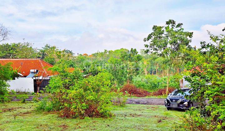 Dijual Tanah Kavling Siap Bangun 520 M2 Di Ungasan Belakang Hideway Villa 6
