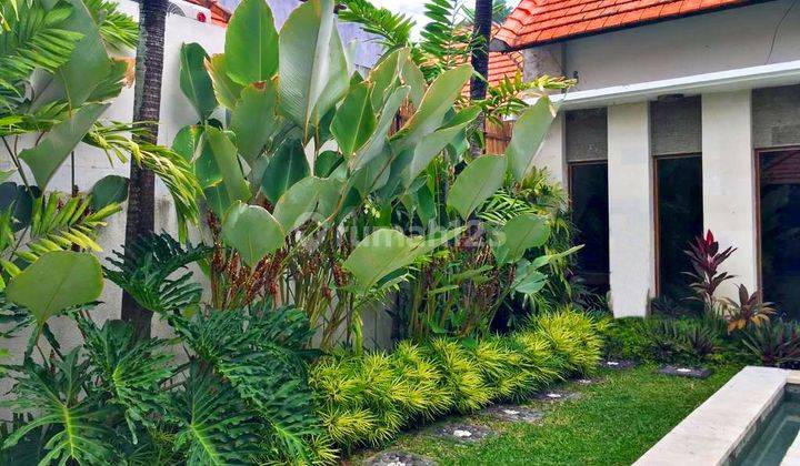 Disewakan Private Villa 2 Bedrooms Di Parerenan Canggu 2