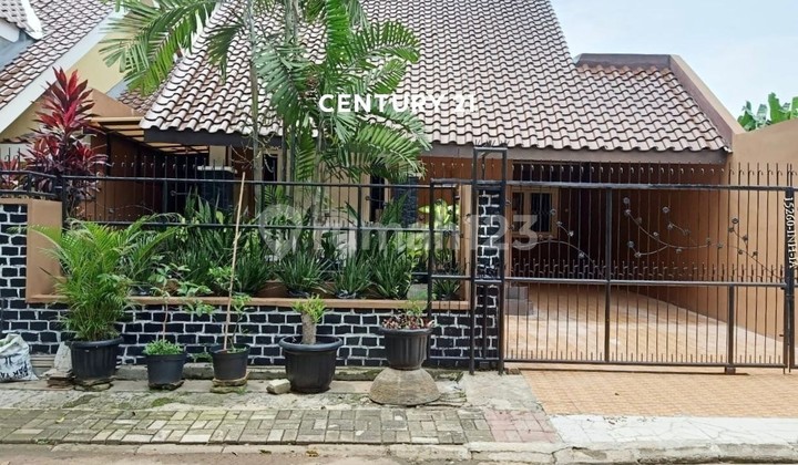 Rumah Baru Renovasi Siap Huni Dijual Di Anggrek Loka BSD City