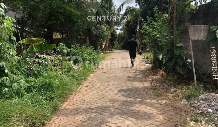 Dijual Cepat Tanah Didekat Nusaloka BSD Bonus Kontrakan Dijual Cepat Tanah Didekat Nusaloka BSD Bonus Kontrakan