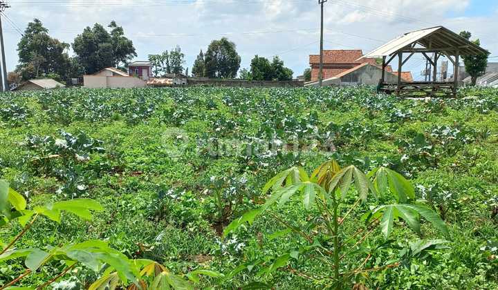 Dijual Tanah Murah Di Cisarua Bogor Lokasi Strategis