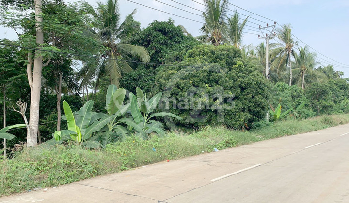 Dijual Bu Tanah Daerah Anyer Dekat Pantai Batu Saung 5