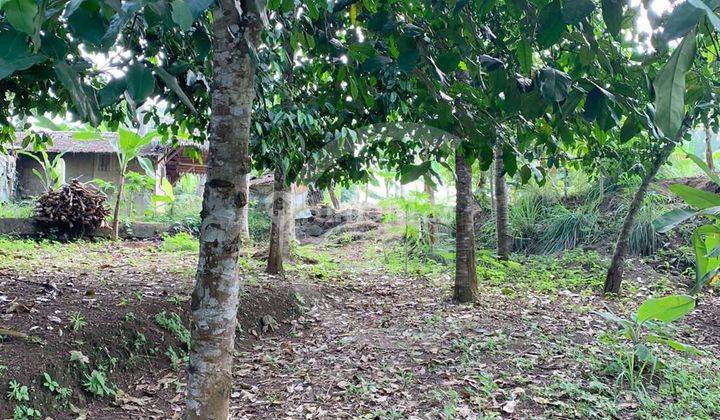 Dijual Bu Tanah Daerah Anyer Dekat Pantai Batu Saung 2