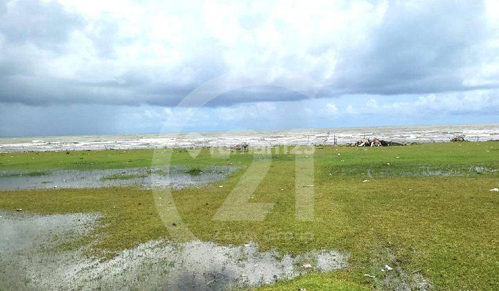 Tanah Dijual Tanjung Lesung Banten Lokasi Prime Cocok Utk Vila Hotel 3
