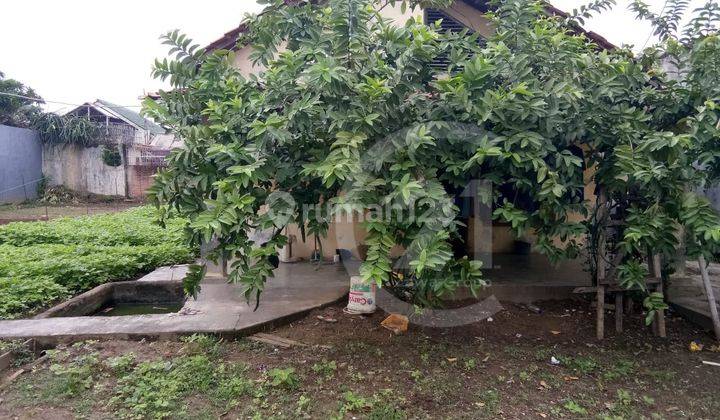 Dijual Bu Rumah Tua + Tanah Kering Gabus Tambun Utara 2