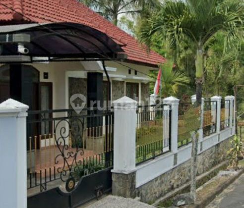 Rumah Dengan Taman Luas di Puncak Dieng Malang 1