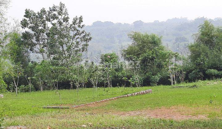 Tanah Cocok Untuk Villa Pribadi Hidroponik

 4