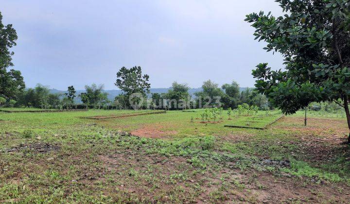 Tanah Cocok Untuk Villa Pribadi Hidroponik

 6