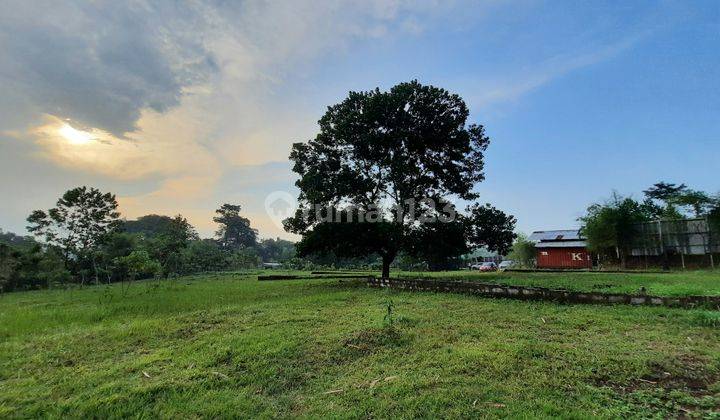 Tanah Cocok Untuk Villa Pribadi Hidroponik

 1