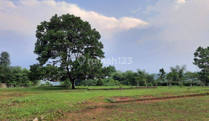 Tanah Cocok Untuk Villa Pribadi Hidroponik

 10