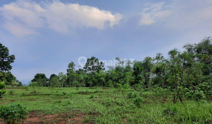 Tanah Cocok Untuk Villa Pribadi Hidroponik

 11