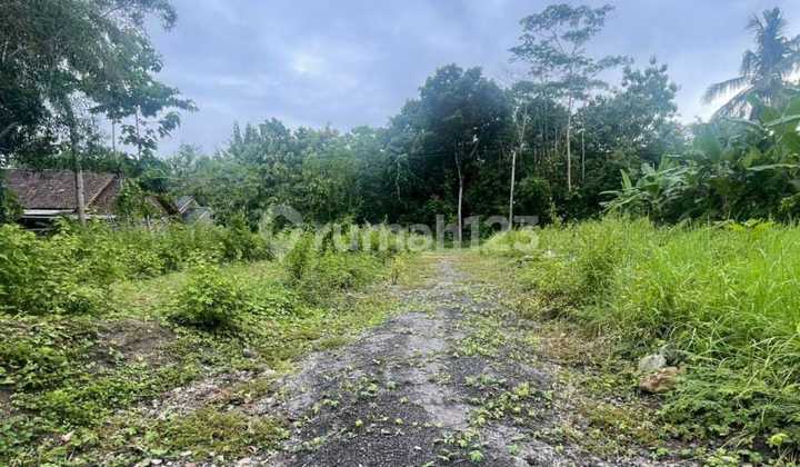 For Sale Land Plot 1529 Square Meters Location Sembung - Balecatur Gamping Sleman