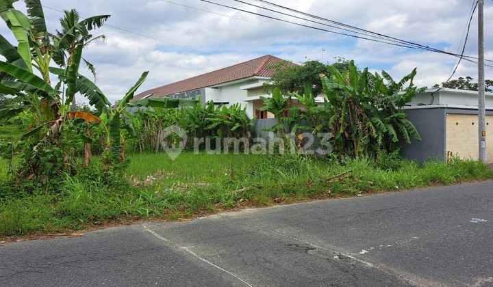Land Area 3122 Square Meters Located on Jalan Palagan Donoharjo Ngaglik Sleman