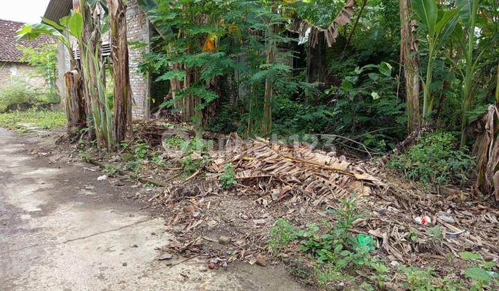 Bonus Land with Strategic Location Near Pleret Market, Bantul