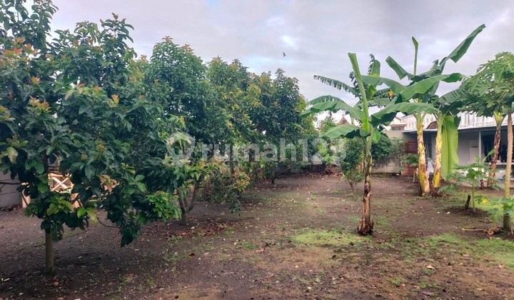 Large Land with Bonus Modern Residential House, Strategic Location Near UII Campus - Ngaglik Sleman Large Land with Bonus Modern Residential House, Strategic Location Near UII Campus - Ngaglik Sleman