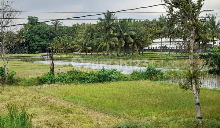 Tanah Luas 2928 Meter Persegi Lokasi Strategis di Jalan Turi Sleman
