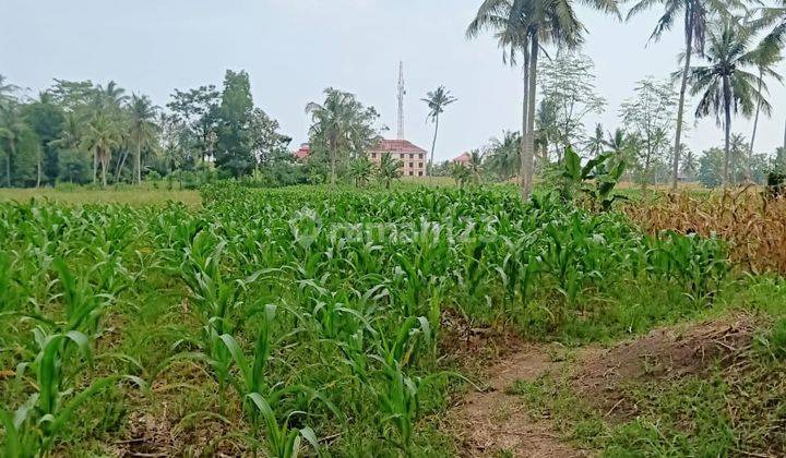 Tanah Datar di Way Urang Kalianda Lampung Selatan 1