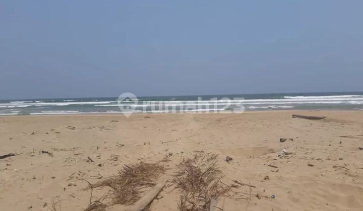 Tanah Malimping Sukatani, Kab Lebak, Banten, Ja bar Luas 120 Ha 2