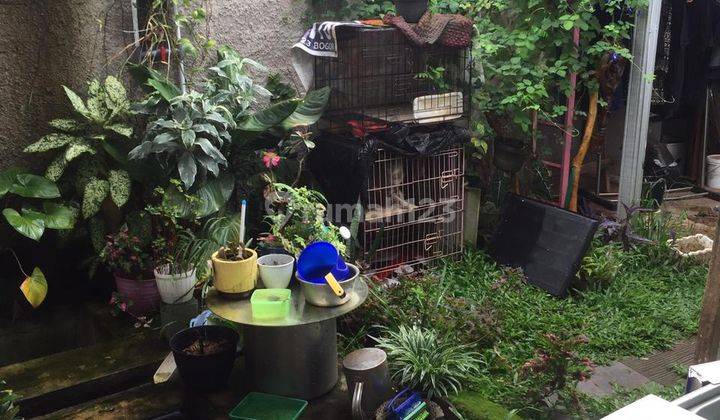 Rumah di jual murah di Ranca bungur bogor 10