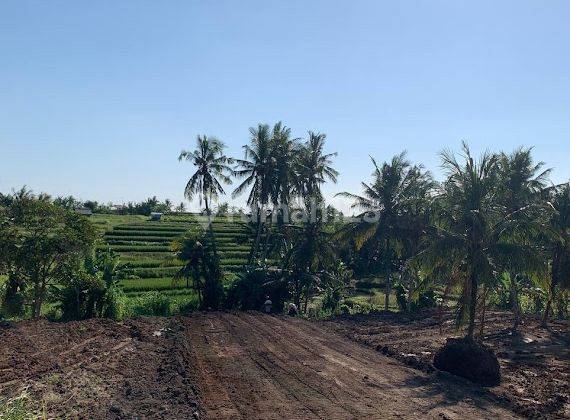 Tanah kavling exclusive di abiansemal dekat ke ubud 2