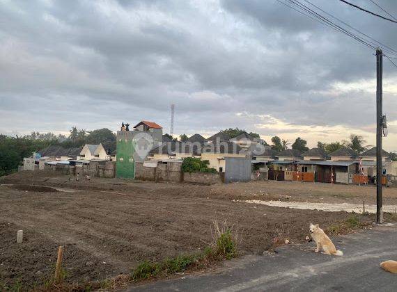 Cheap Land Plots in Tedung Village, Gianyar 2