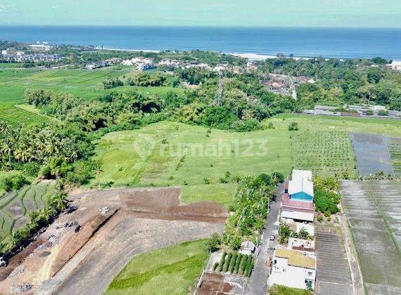 Economical Price Plot of Land with Rice Field View on Yeh Gangga Beach Road 2