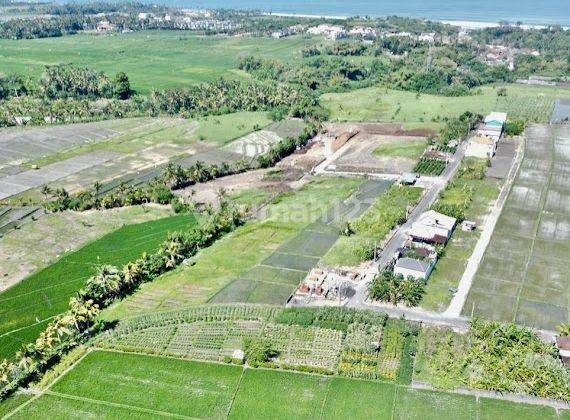 Tanah Kavling Murah View Sawah Di Yeh Gangga Tabanan 2