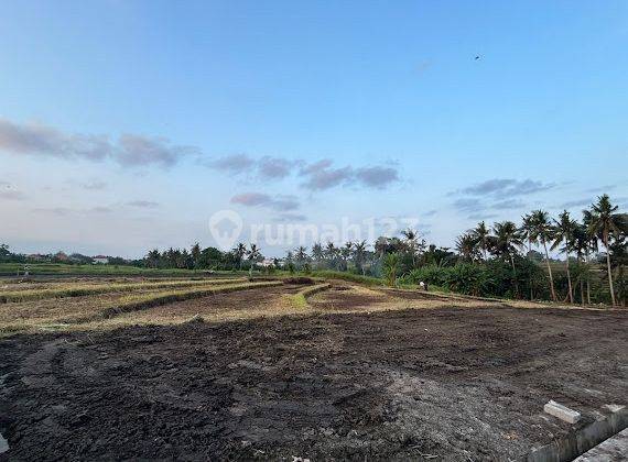 Economically Priced Plot of Land in Jalan Pantai Yeh Gangga Tabanan 2