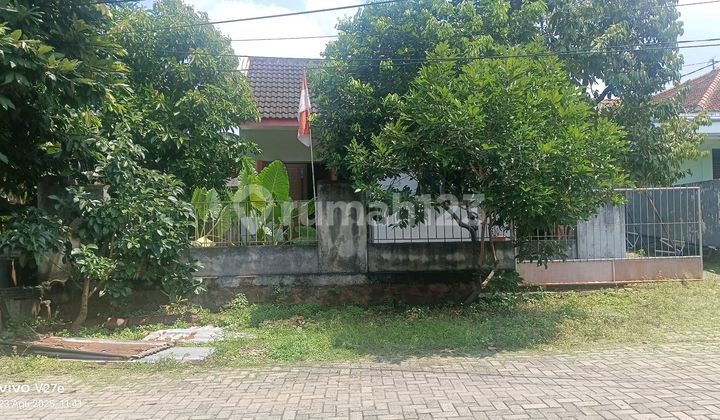 Dijual Rumah 1 Lantai Semarang Barat 10590 2
