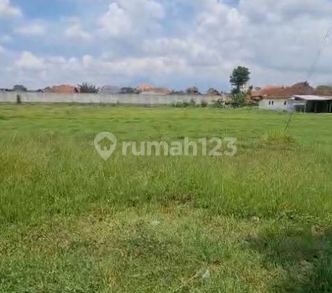 For Sale Industrial Zone Land LT 5415m² Jl. Raya Kudus - 10980 For Sale Industrial Zone Land LT 5415m² Jl. Raya Kudus - 10980