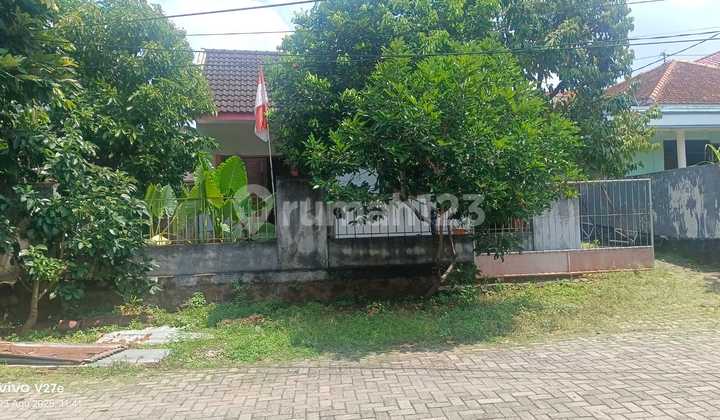 Dijual rumah 1 lantai kalipancur semarang barat 10590 1