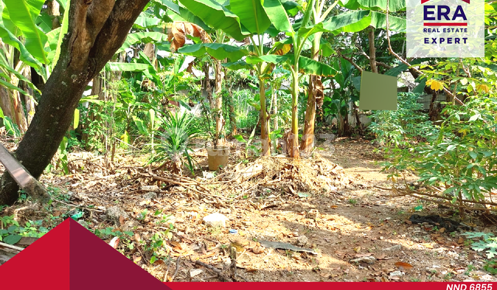 Dijual Lahan Kebun Di Jagakarsa, Cocok Untuk Hunian Asri