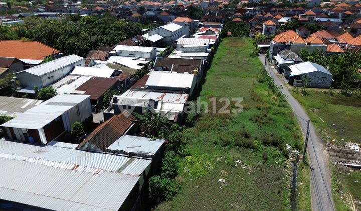 Tanah Sewa Pedungan Jalan.pulau Singkep Denpasar Tanah Sewa Pedungan Jalan.pulau Singkep Denpasar
