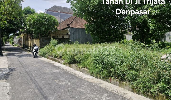 Tanah Siap Bangun Di Jl.trijata Denpasar Bali Tanah Siap Bangun Di Jl.trijata Denpasar Bali
