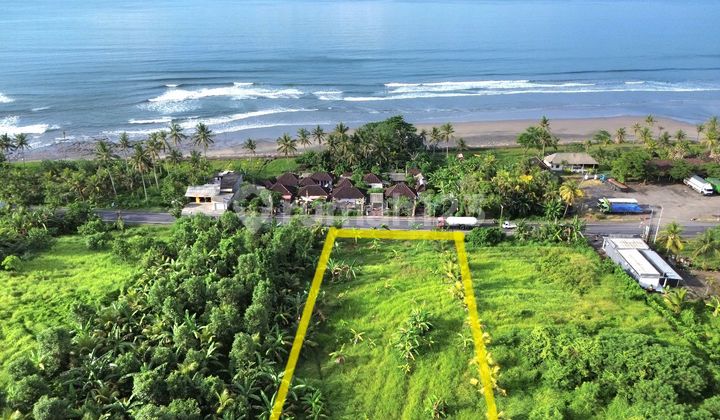 Dijual Tanah Di Pengragoan Pekutatan Jembrana Dekat Surfing Balian Beach