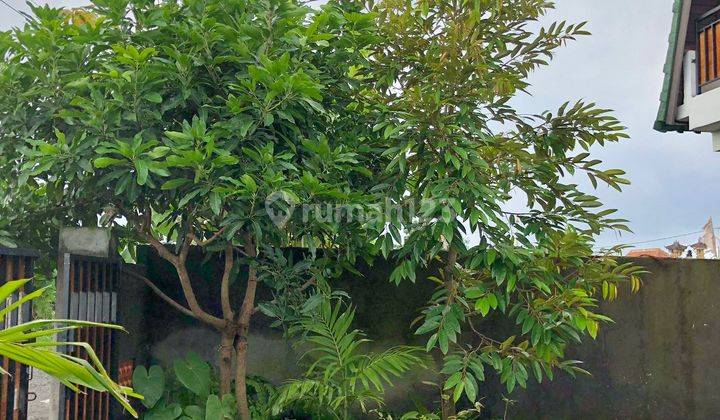 For Rent Brand New house near sanur 4