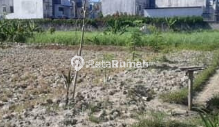 FOR SALE LAND ON JALAN CINTA RAKYAT